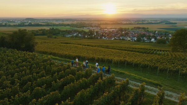 Feierabend Loop - Ebringen
